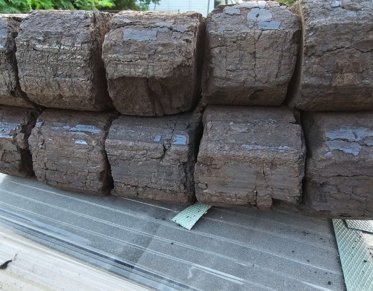 Czym jest pellet drzewny?
